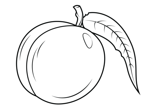 Nectarine With Leaf Coloring Page